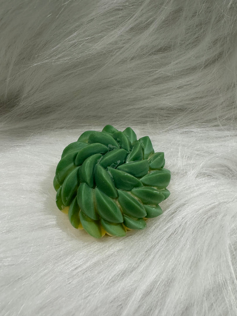 Succulent Mould candle