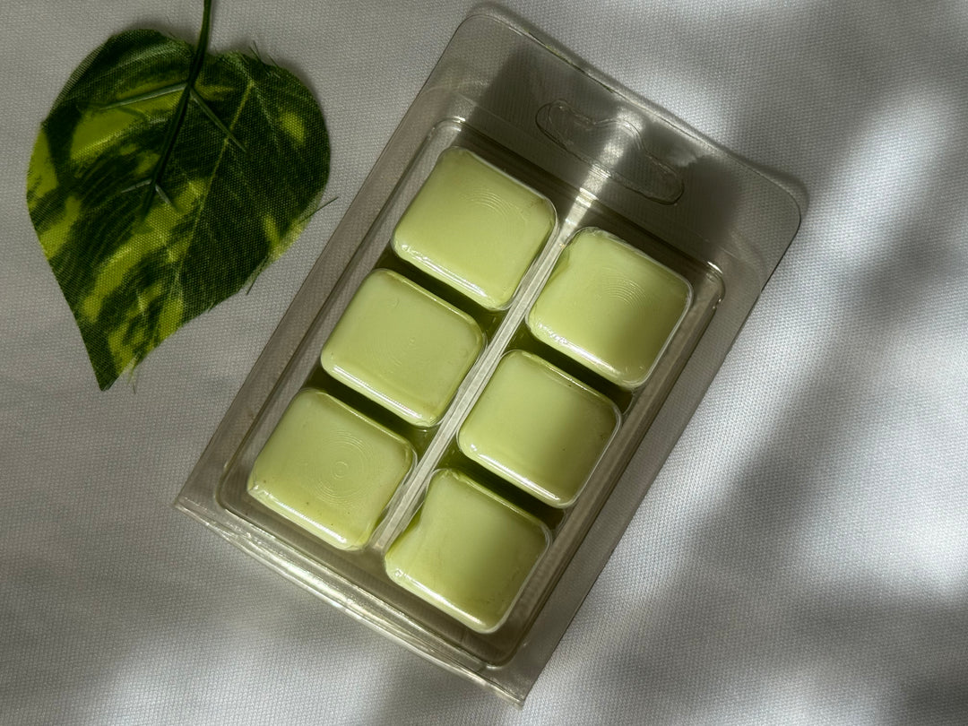 Citronella clamshell melts