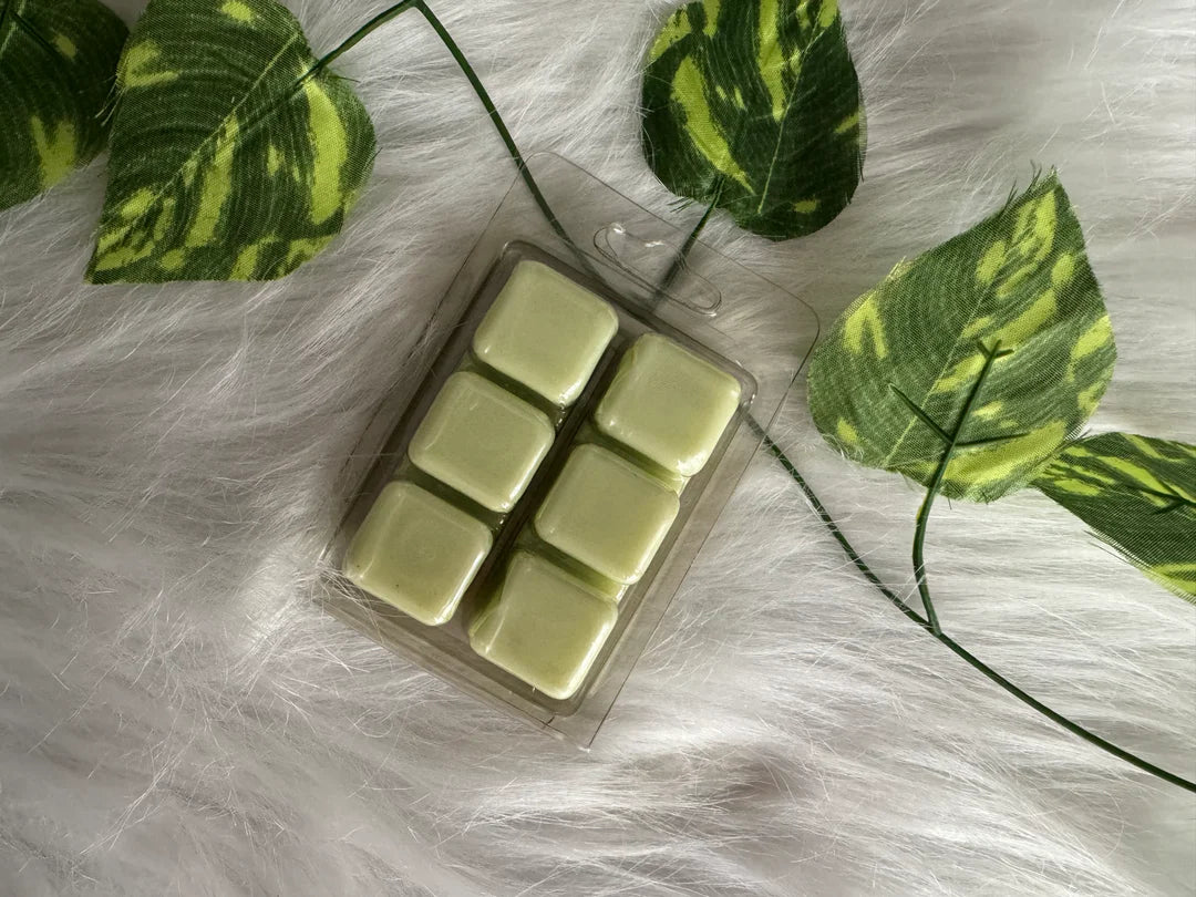 Honeysuckle Vanilla Clamshell melts