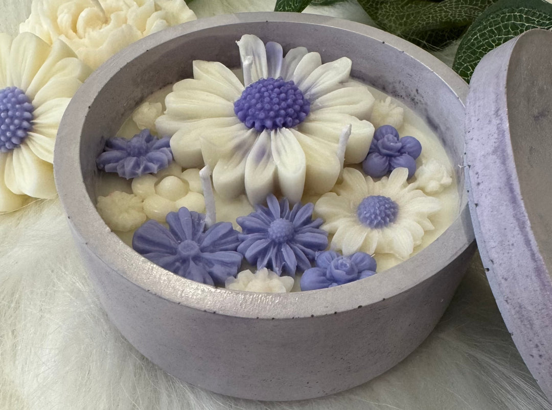 Daisy Patch in a Concrete Jar- Lavender