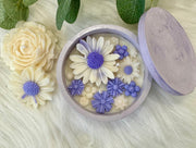 Daisy Patch in a Concrete Jar- Lavender