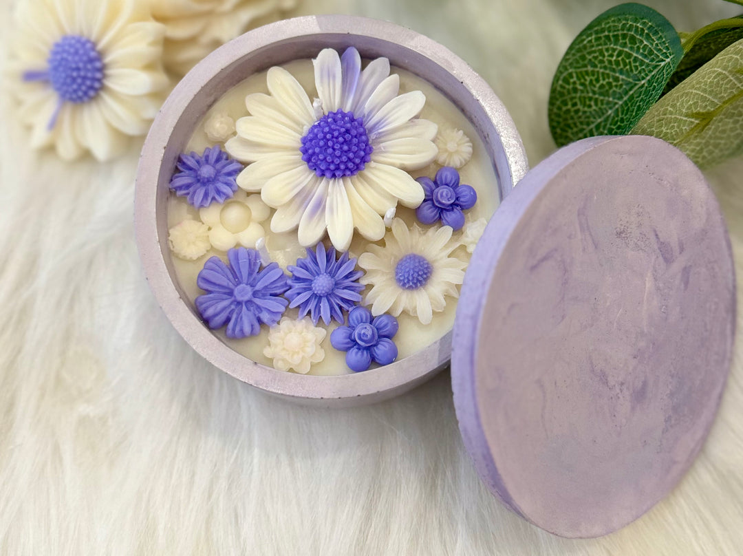 Daisy Patch in a Concrete Jar- Lavender