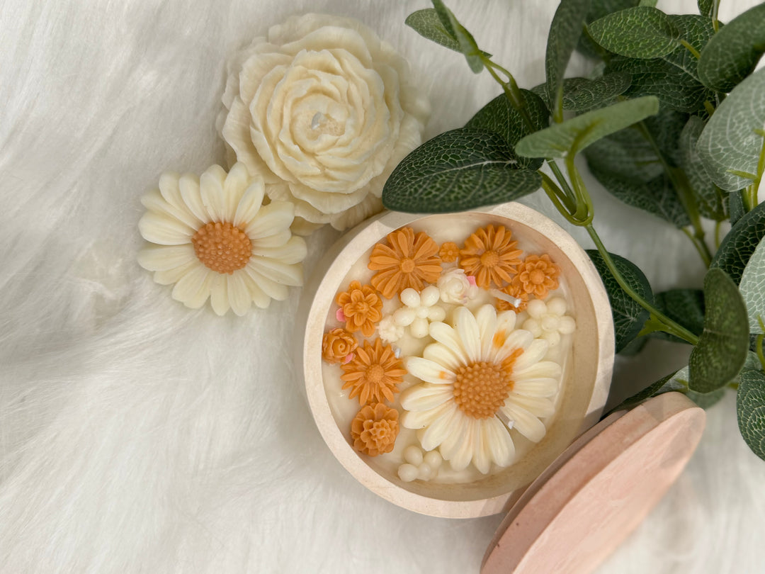 Daisy Patch in a Concrete Jar - Orange