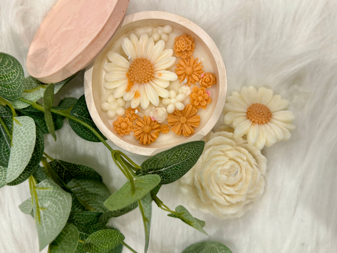 Daisy Patch in a Concrete Jar - Orange