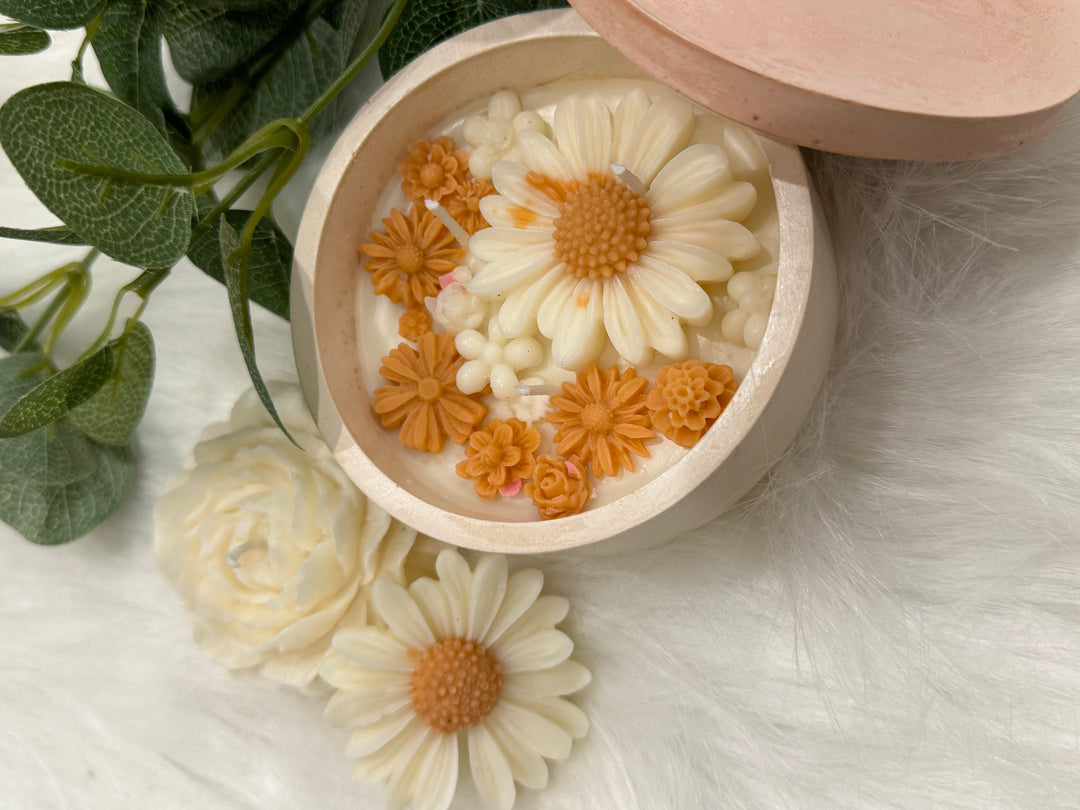 Daisy Patch in a Concrete Jar - Orange