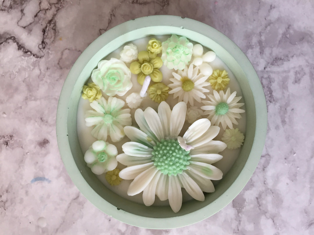 Daisy Patch in a Concrete Jar - Green