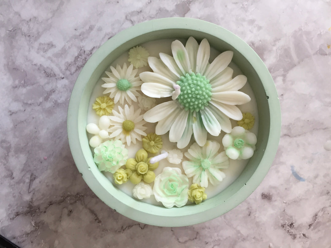 Daisy Patch in a Concrete Jar - Green