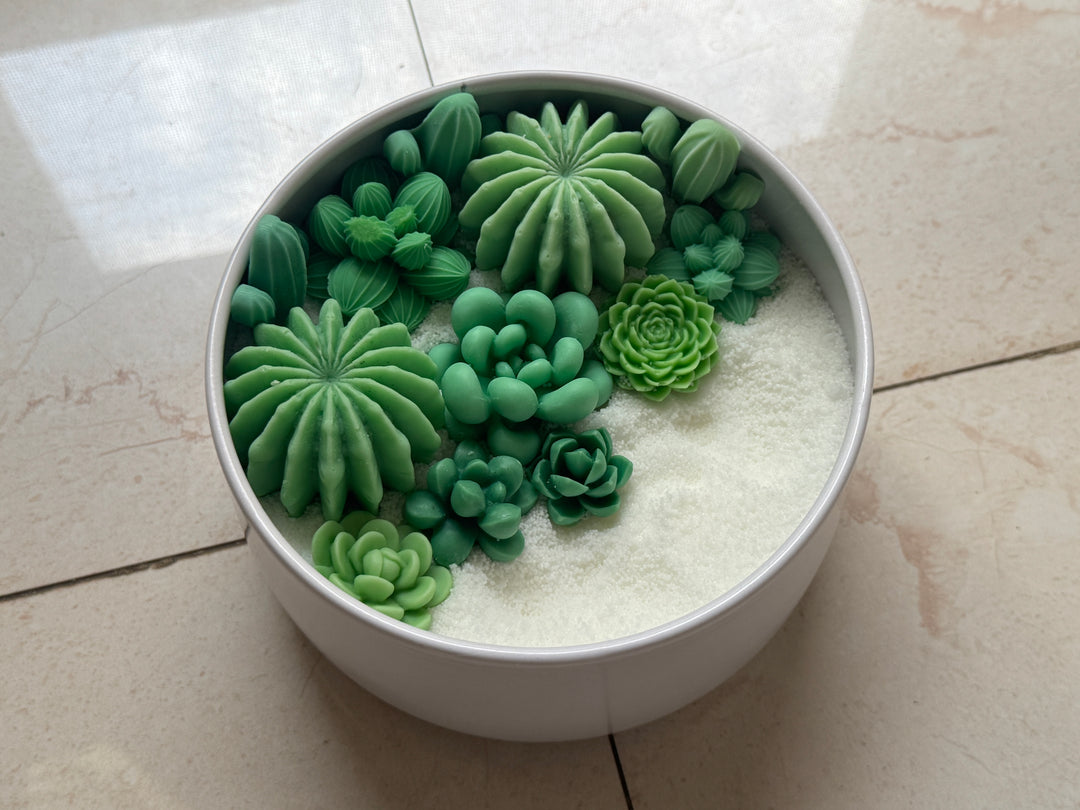 Aesthetic succulent wax candle design for calming home decor