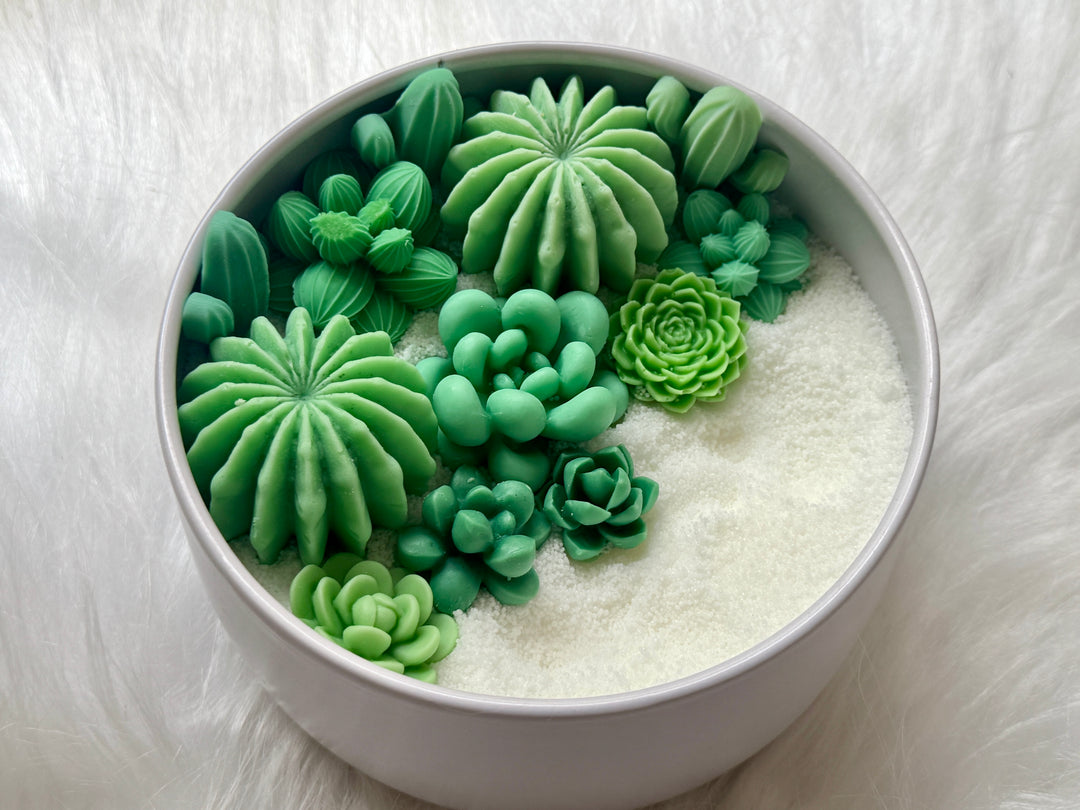 Decorative green succulent candles for meditation and gifting